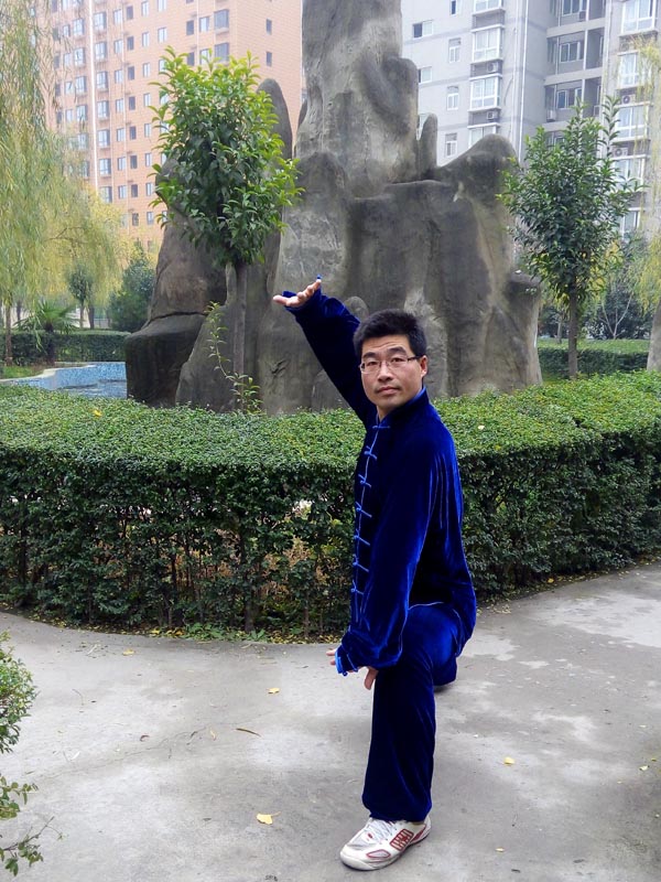 拳照