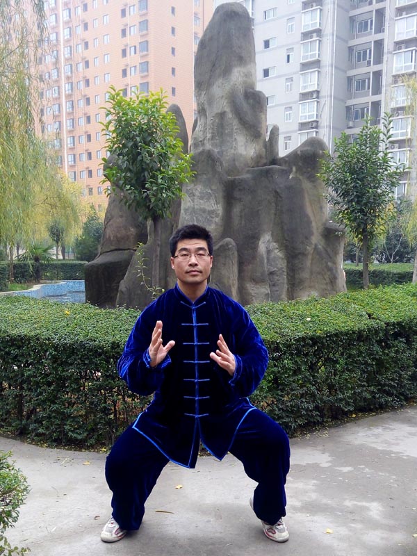 拳照