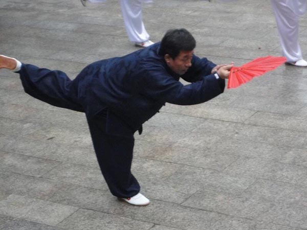 拳照
