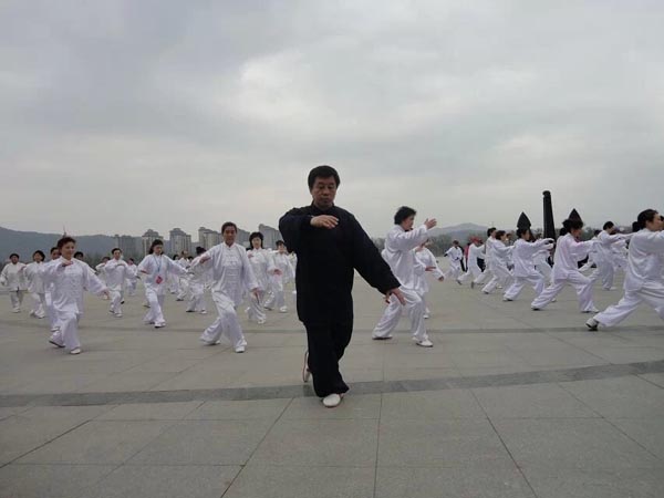 授拳照