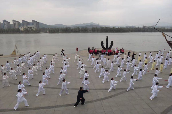 授拳照