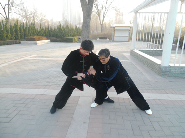 拳照