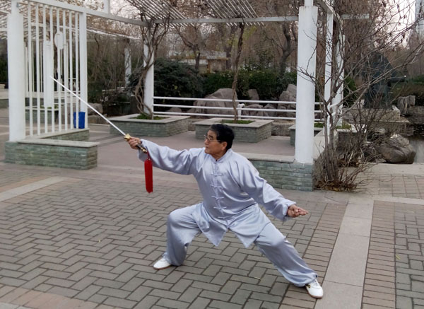 拳照