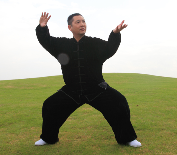 拳照