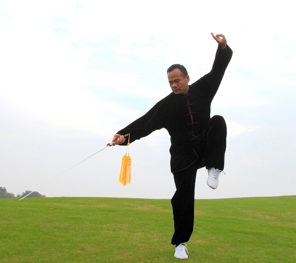 拳照