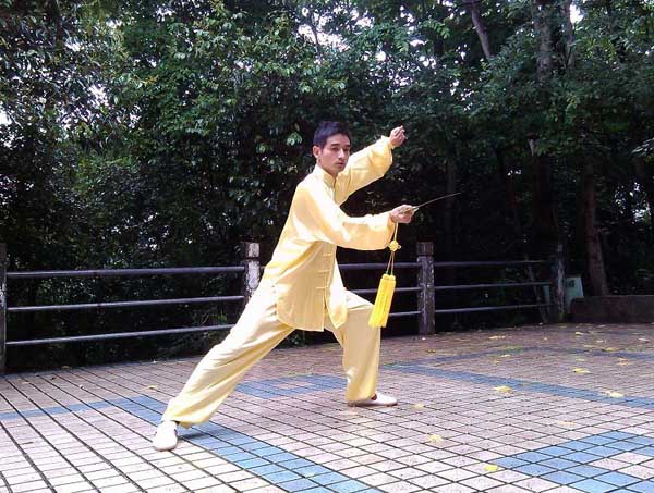 拳照