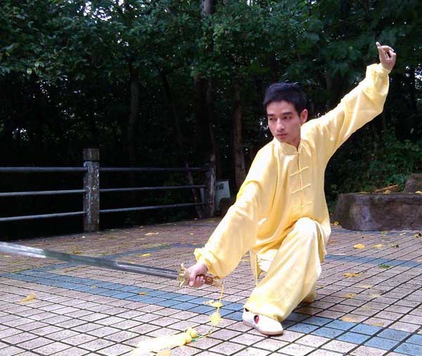 拳照