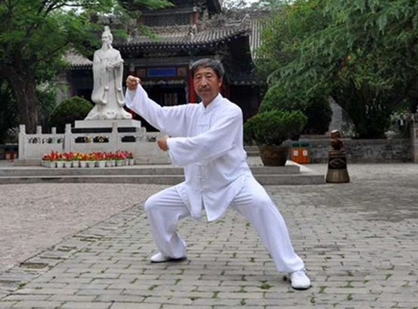 拳照