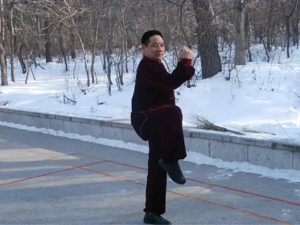 拳照