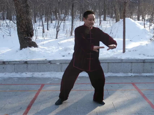 拳照