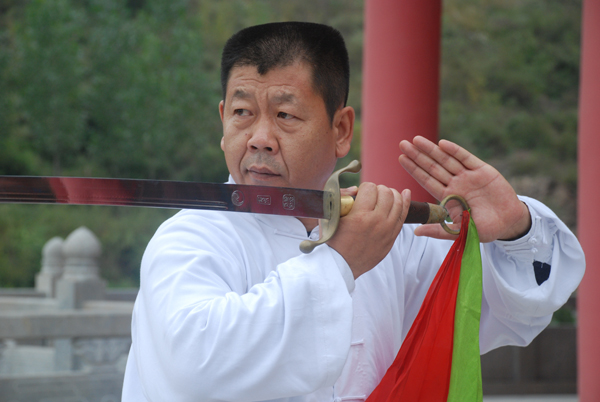 拳照