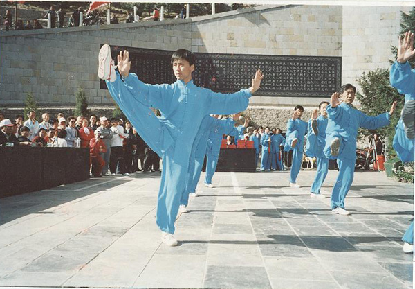 拳照