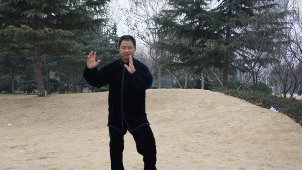 拳照