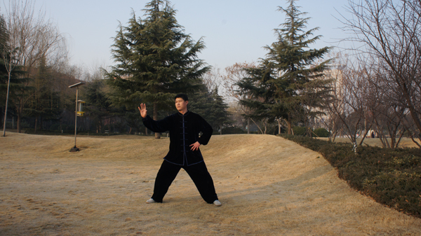 拳照