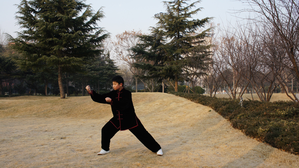 拳照