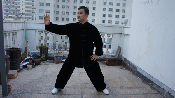 拳照
