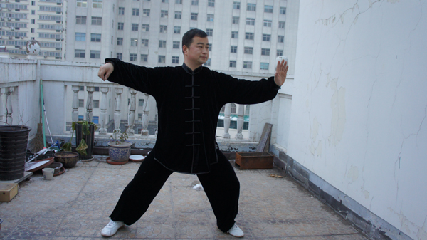 拳照