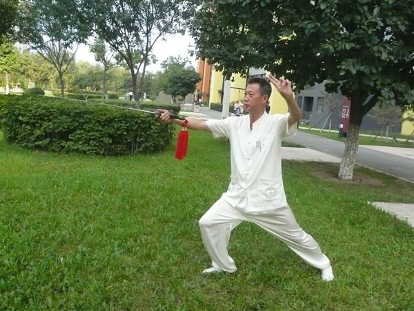 拳照