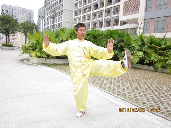 拳照