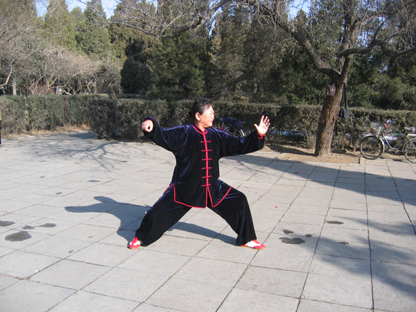 拳照