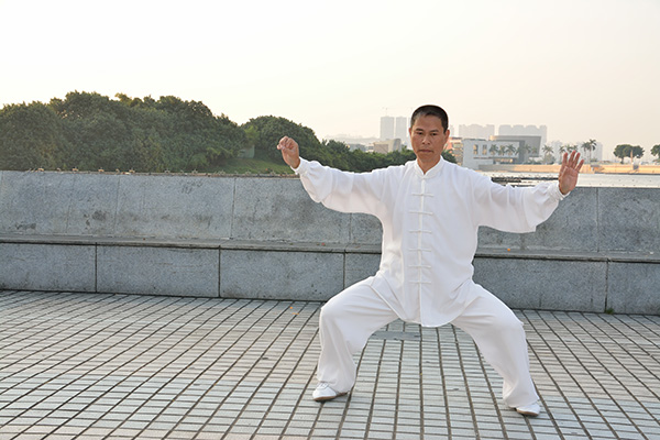 拳照