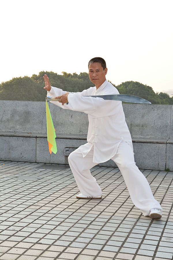 拳照