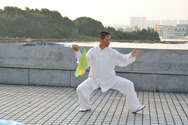 拳照