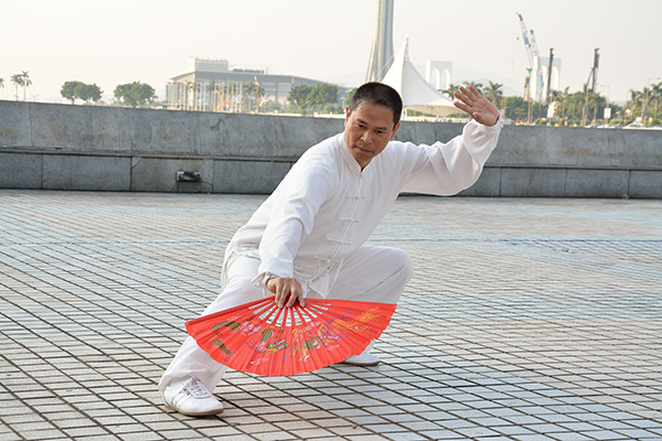 拳照