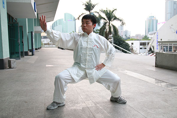 拳照
