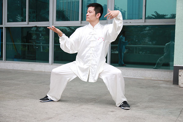 拳照