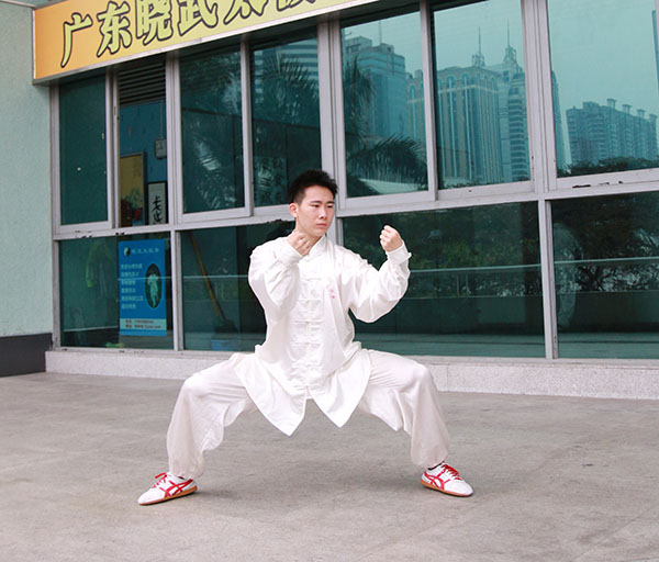 拳照