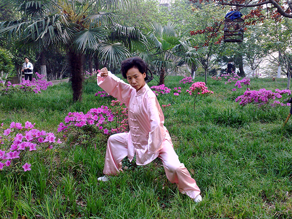 拳照