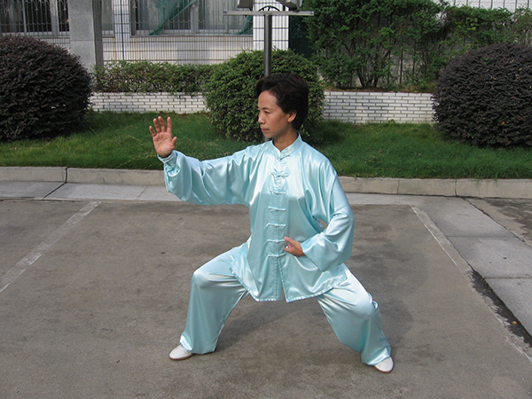 拳照