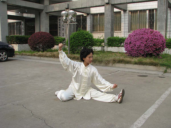 拳照