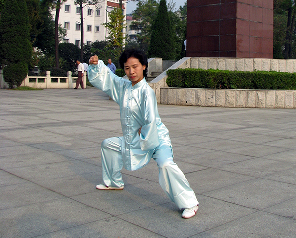 拳照