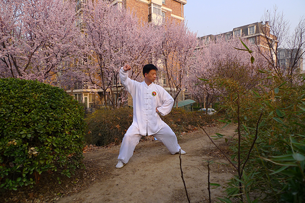 拳照