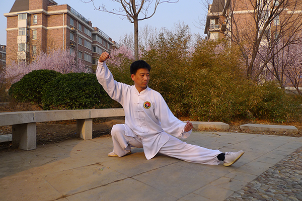 拳照