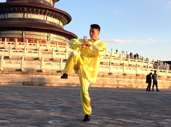 拳照
