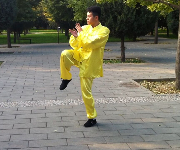 拳照