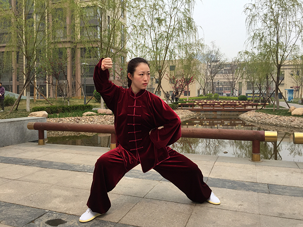 拳照