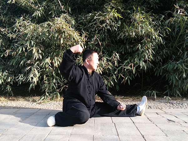 拳照