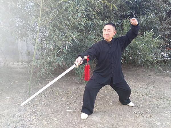 拳照