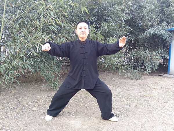 拳照