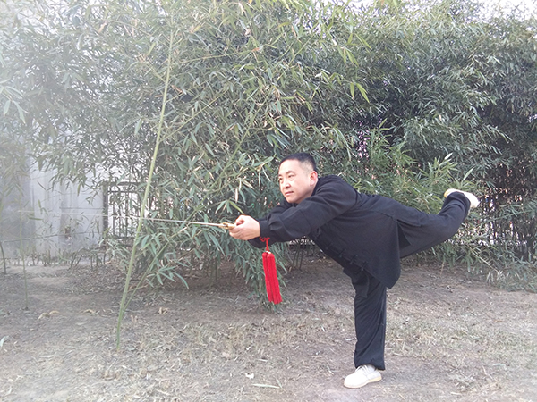 拳照