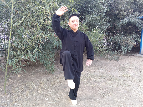拳照