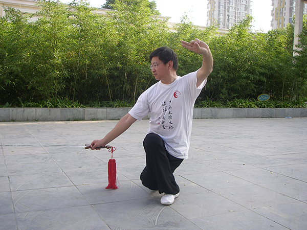 拳照