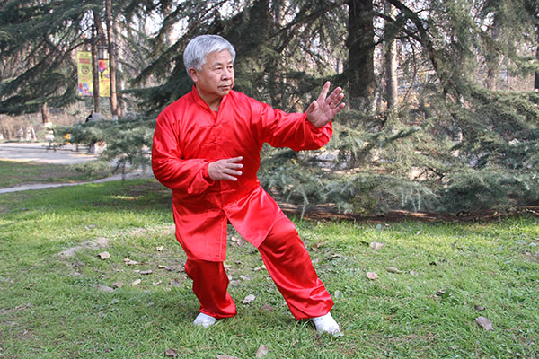 拳照