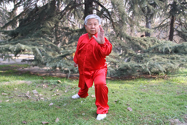 拳照