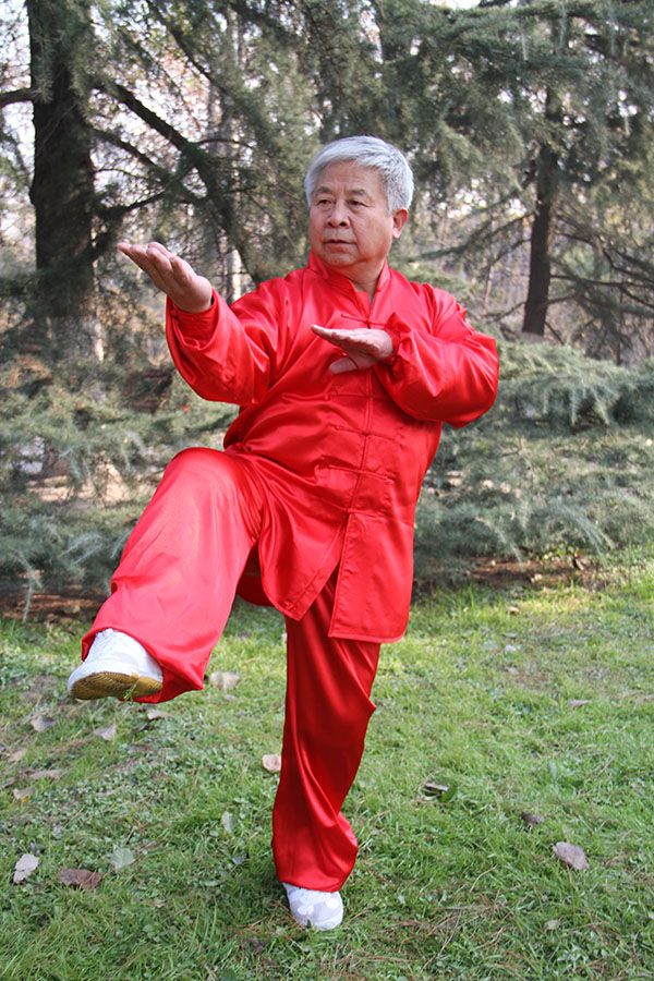 拳照