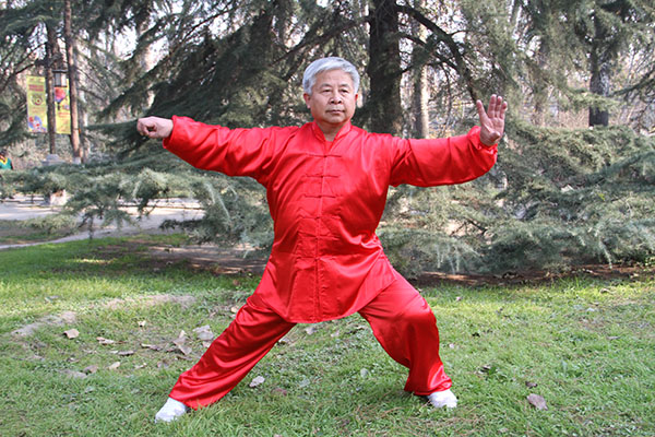 拳照